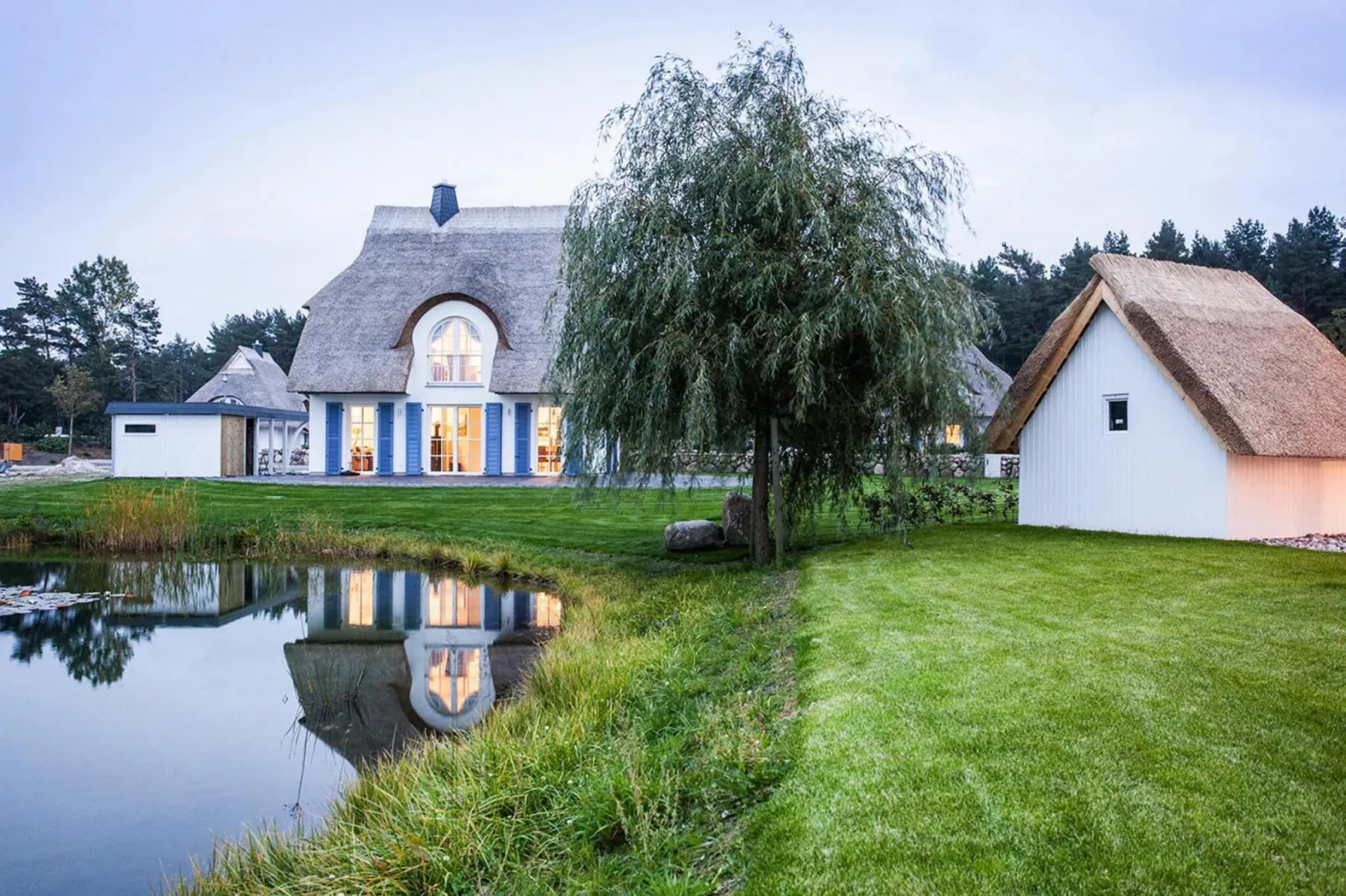 Schilfrohrsänger 18-Buitenkant zomer