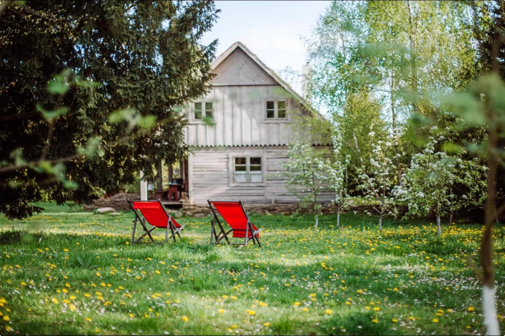 Dom przy drodze Skansen dla 8 osób Bełczna-Tuinen zomer