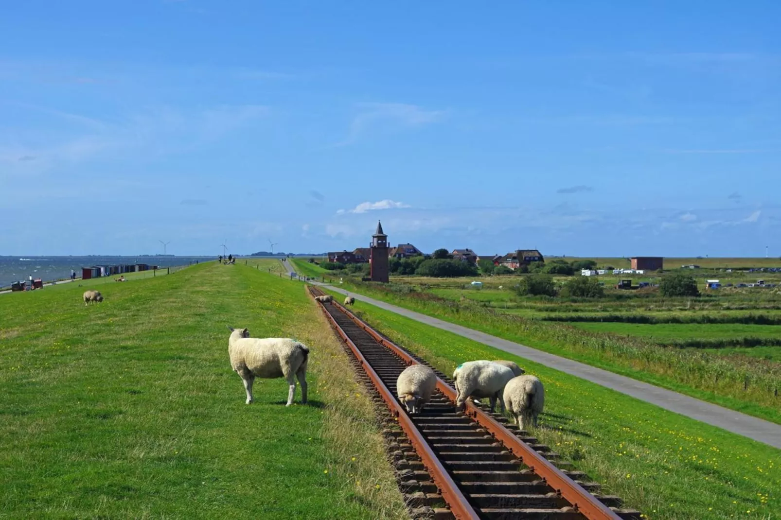 Niebüll-Ferienhaus Seebrise-Gebieden zomer 5km