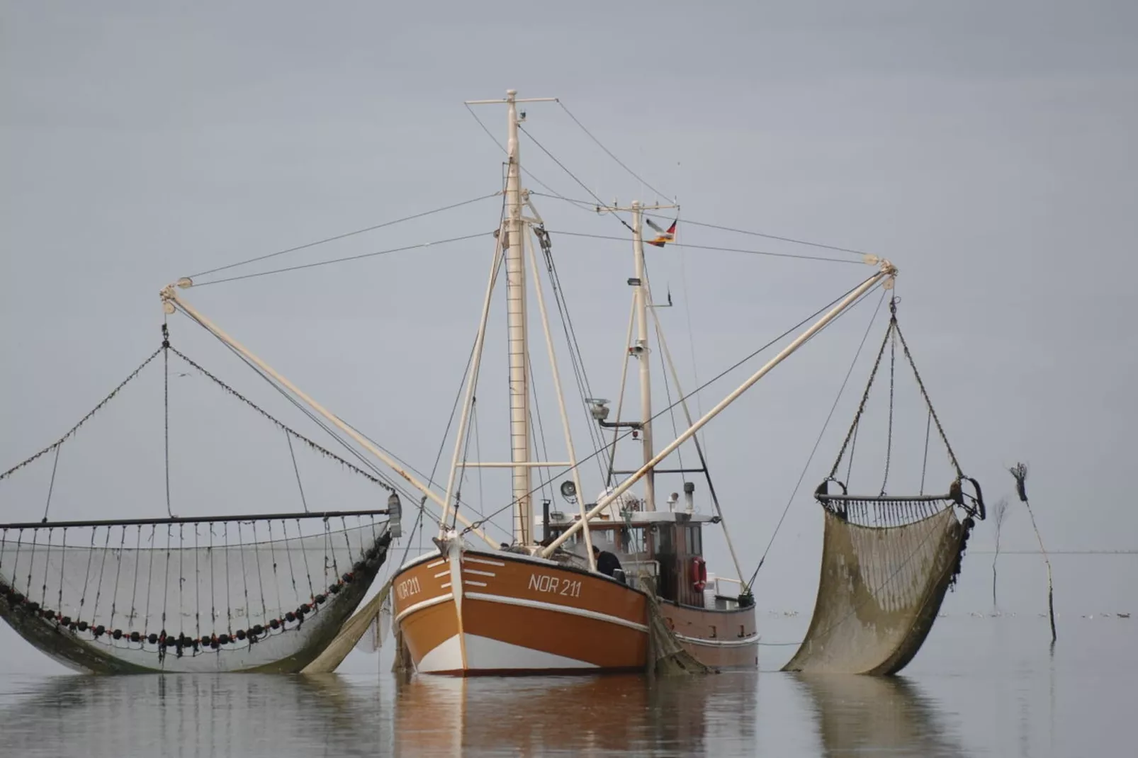 383519-Gebieden zomer 5km