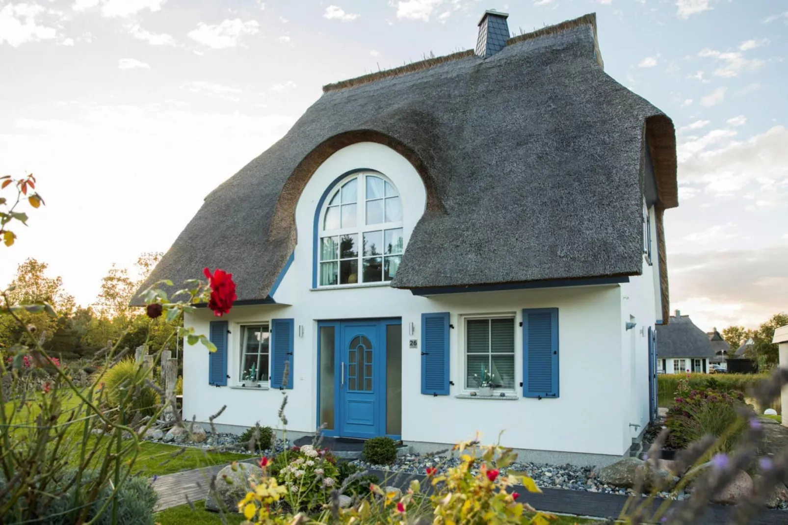 Schilfrohrsänger 18-Buitenkant zomer