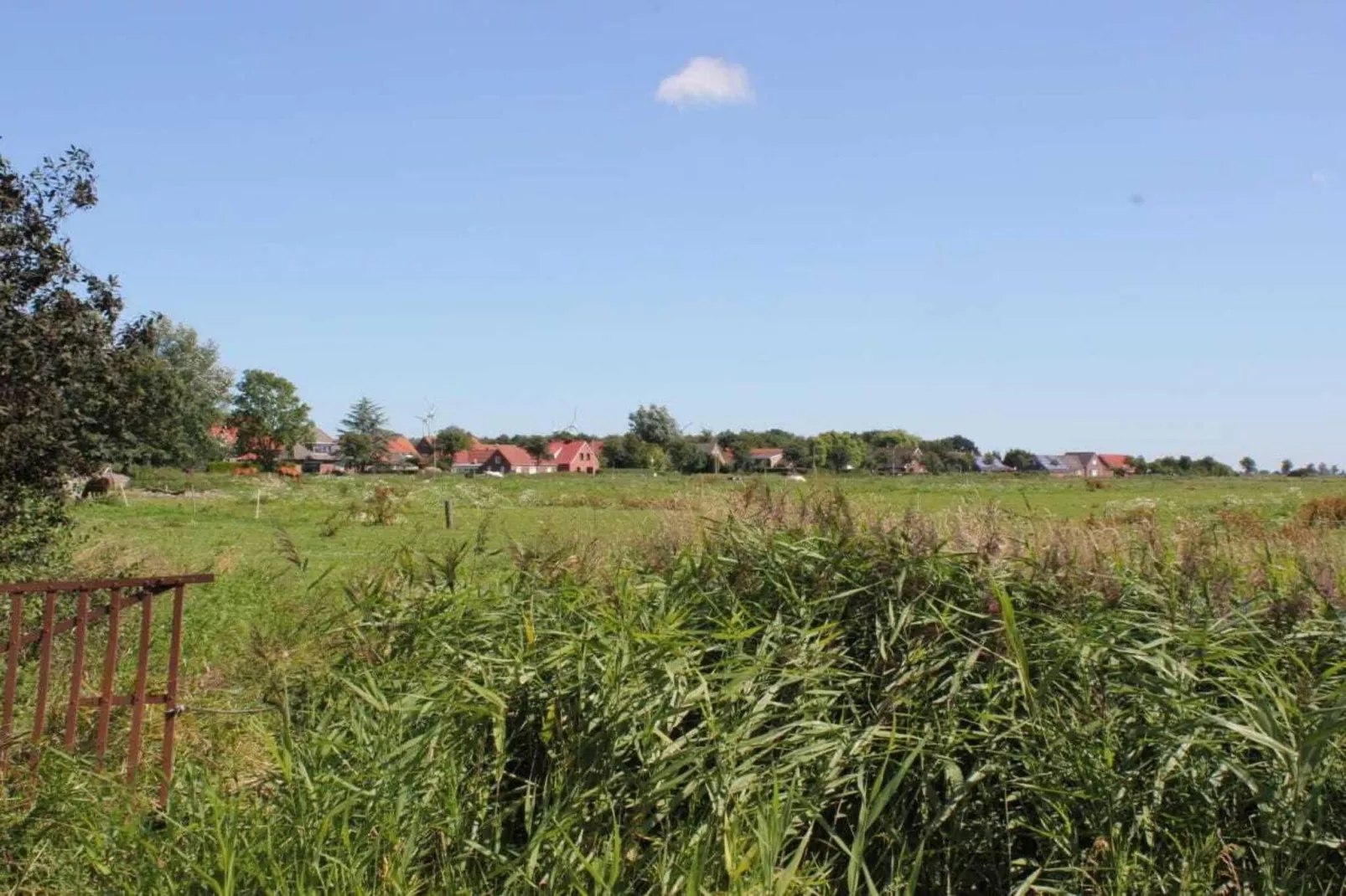 256072-Buitenkant zomer