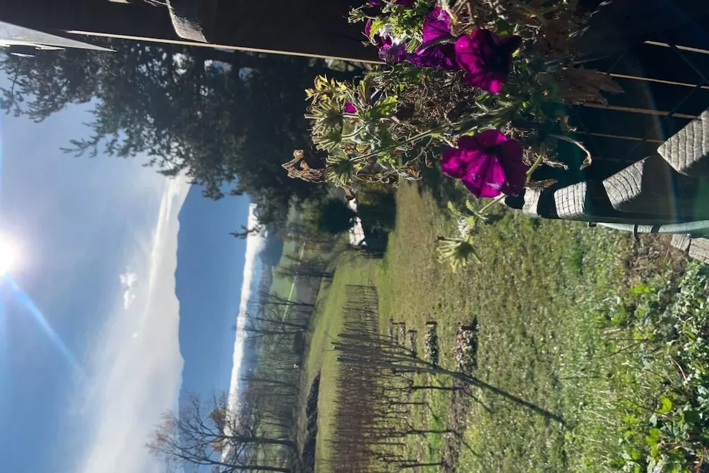 426460 - Niet-getagd