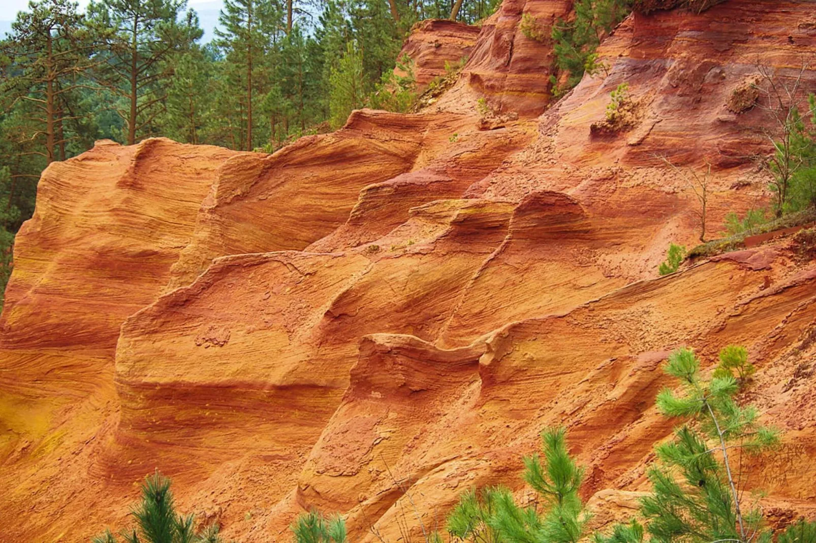 Ferienhaus in Ménerbes-Gebieden zomer 5km