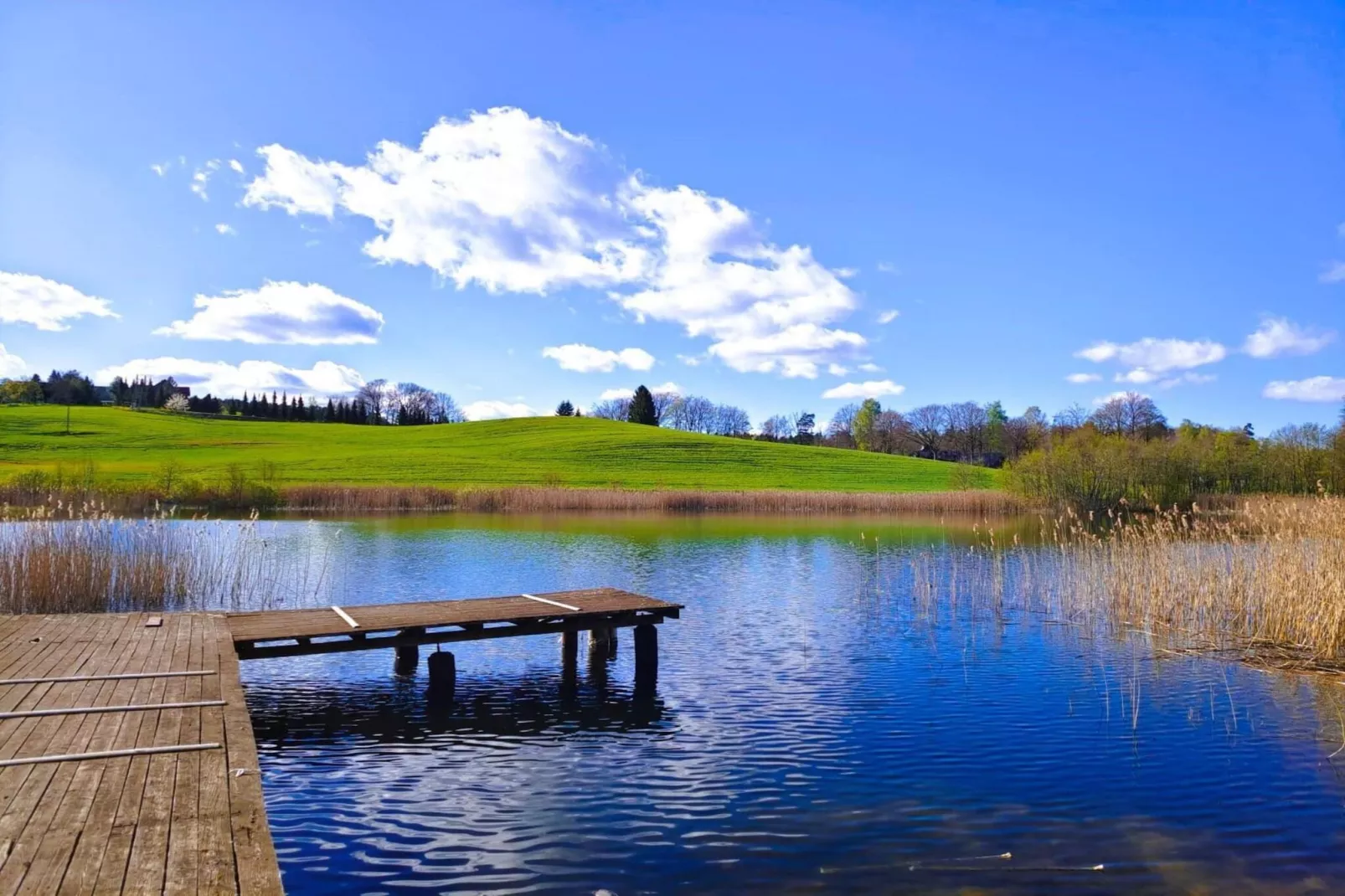 Apartments Rekowo 40 qm - Uitzicht