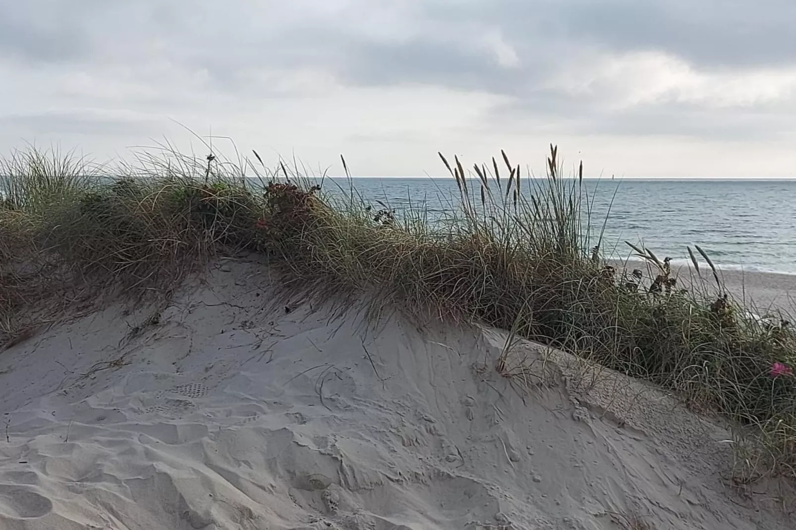 Niebüll-Ferienhaus Seebrise-Gebieden zomer 5km