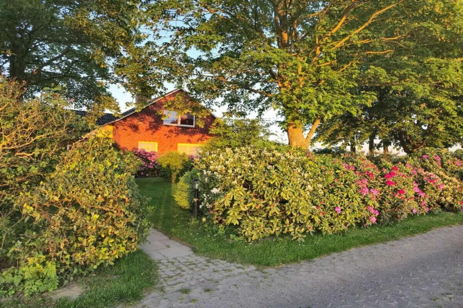 268431-Gebieden zomer 1km