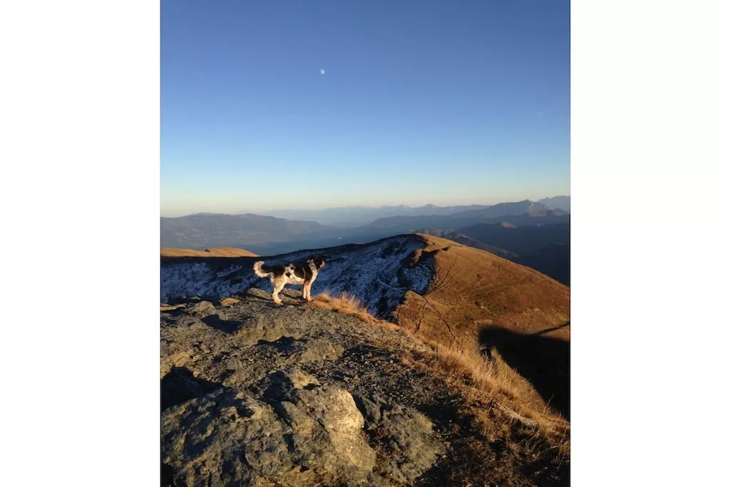 426460 - Niet-getagd