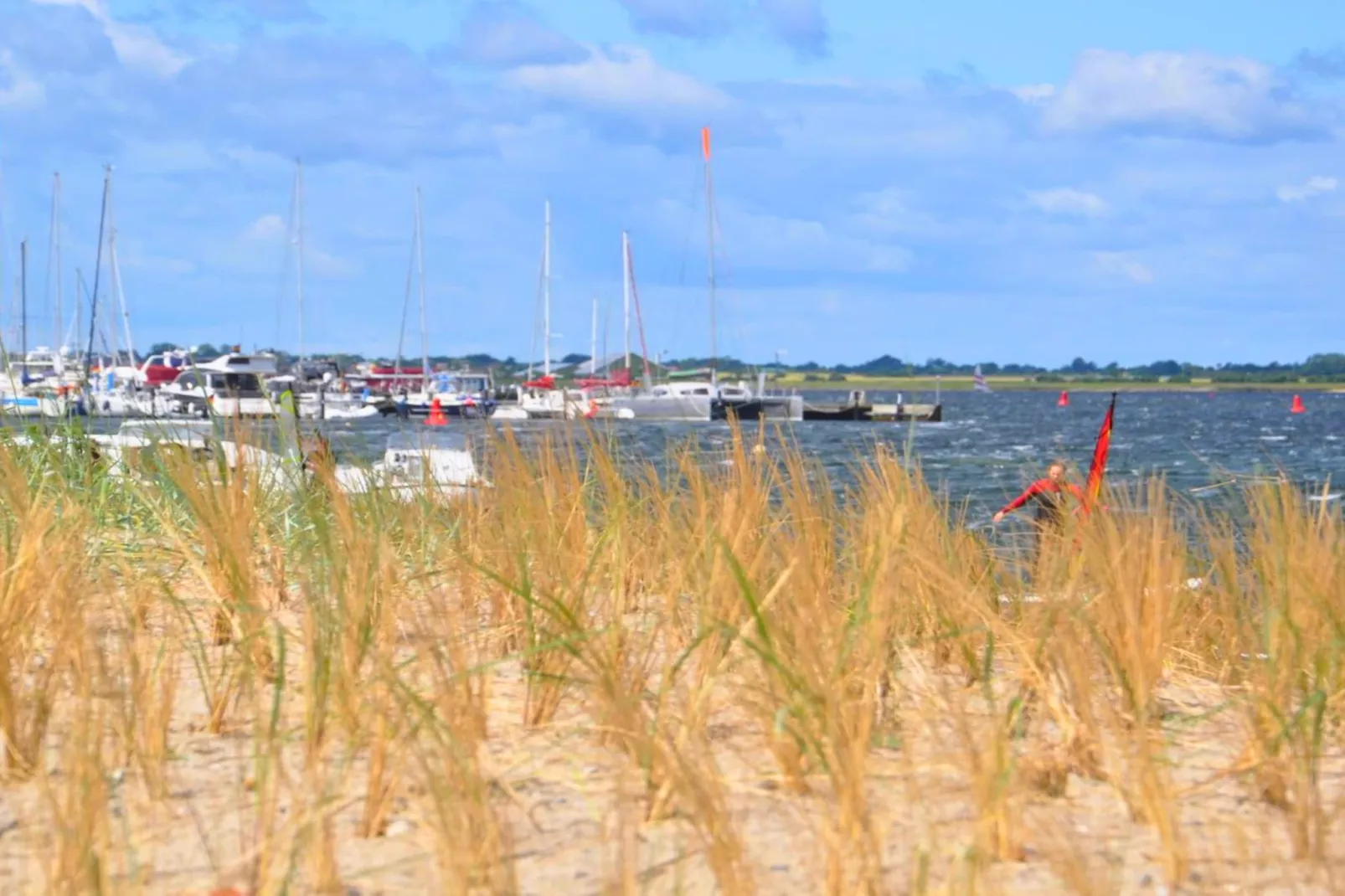 Am Rundsteg 7-Gebieden zomer 5km