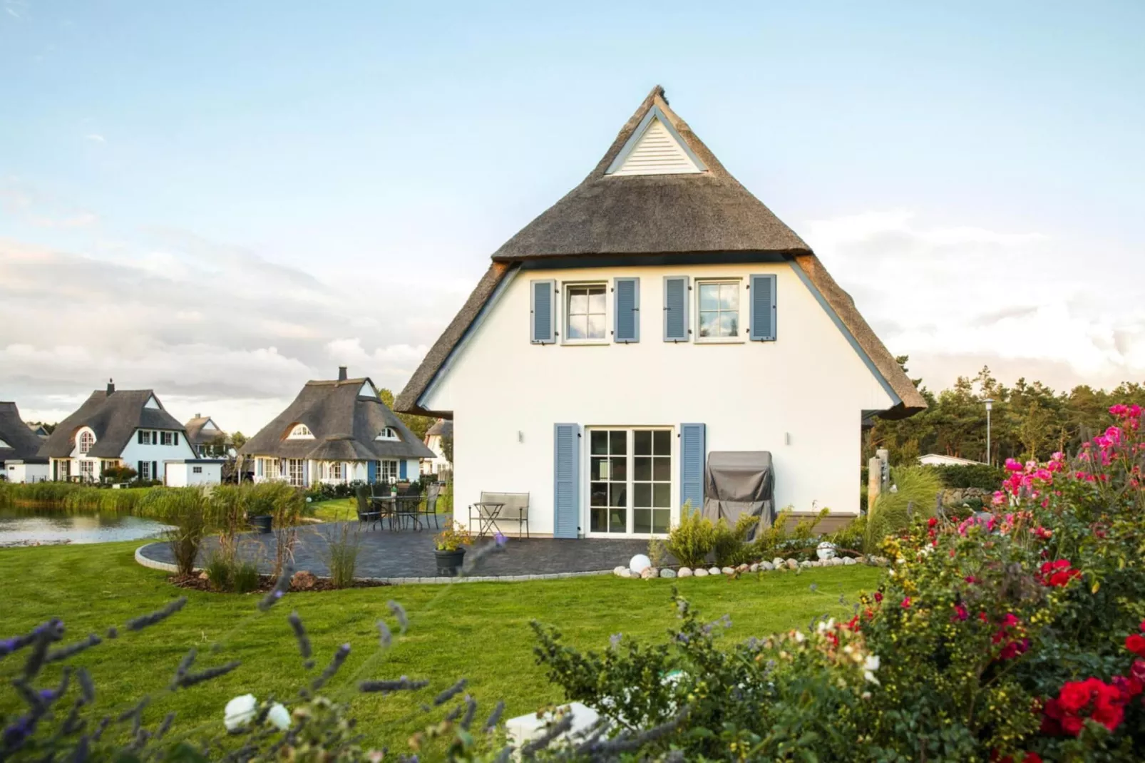 Schilfrohrsänger 18-Buitenkant zomer