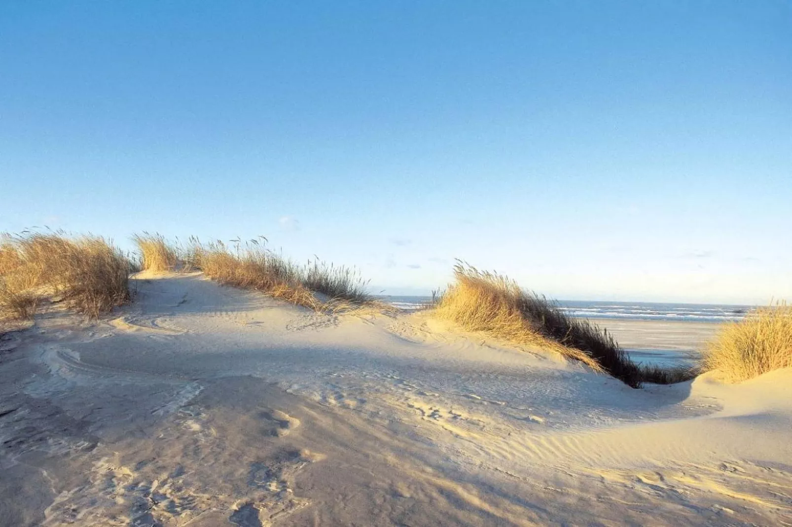 210744-Gebieden zomer 5km