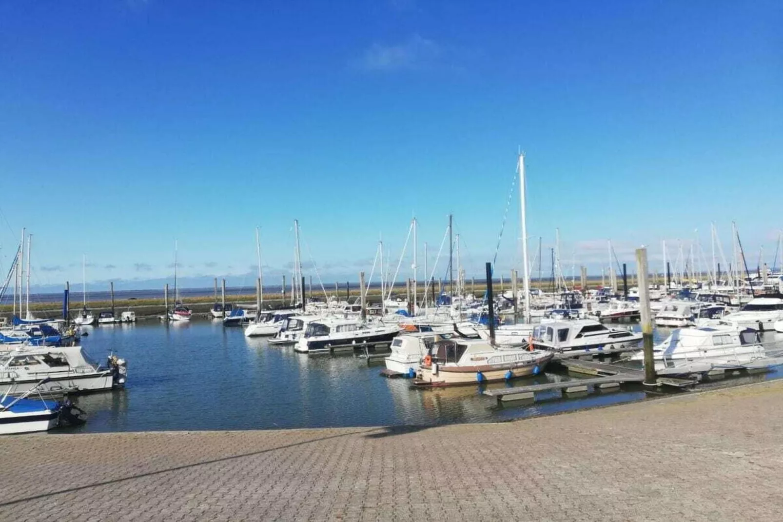 268431-Gebieden zomer 5km