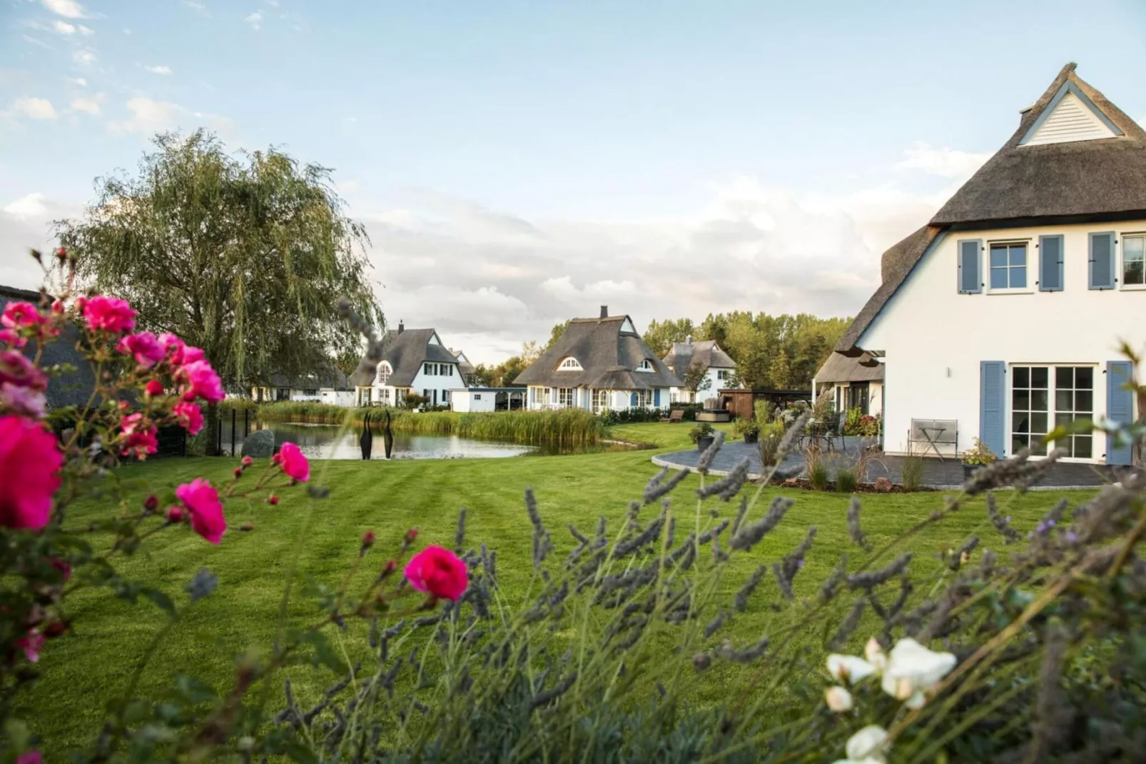 Schilfrohrsänger 18-Tuinen zomer