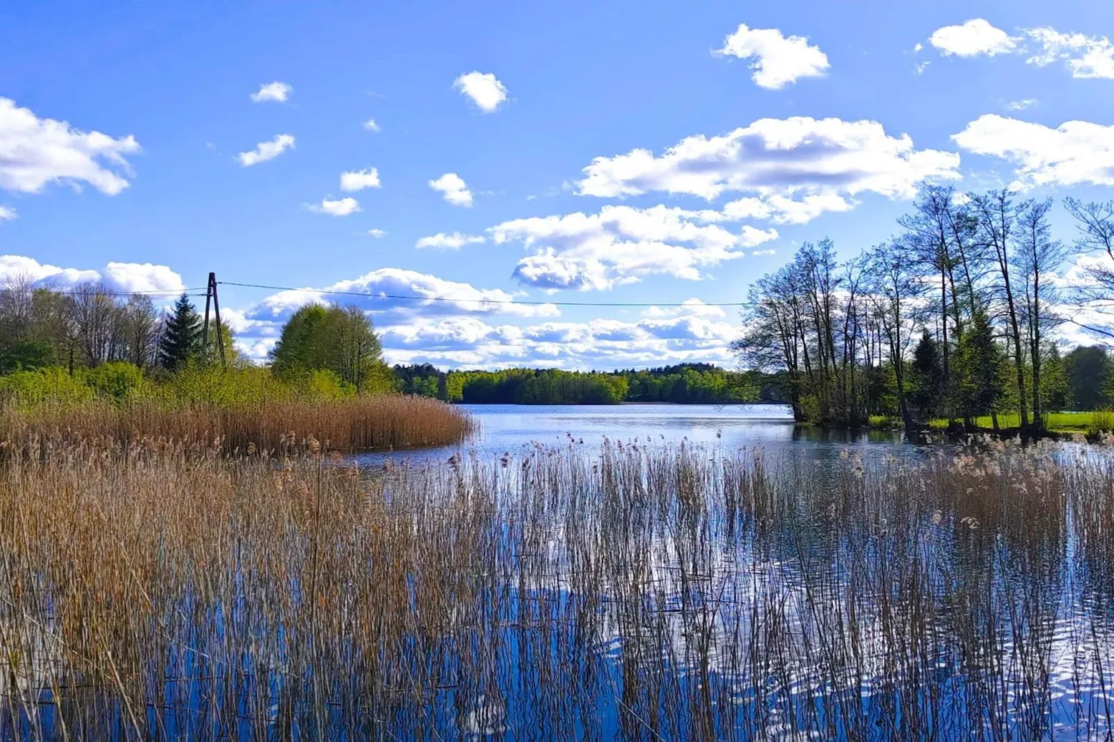 Apartments Rekowo 40 qm - Uitzicht