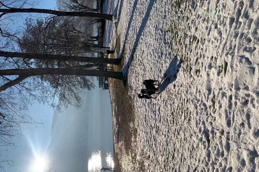 426460 - Niet-getagd