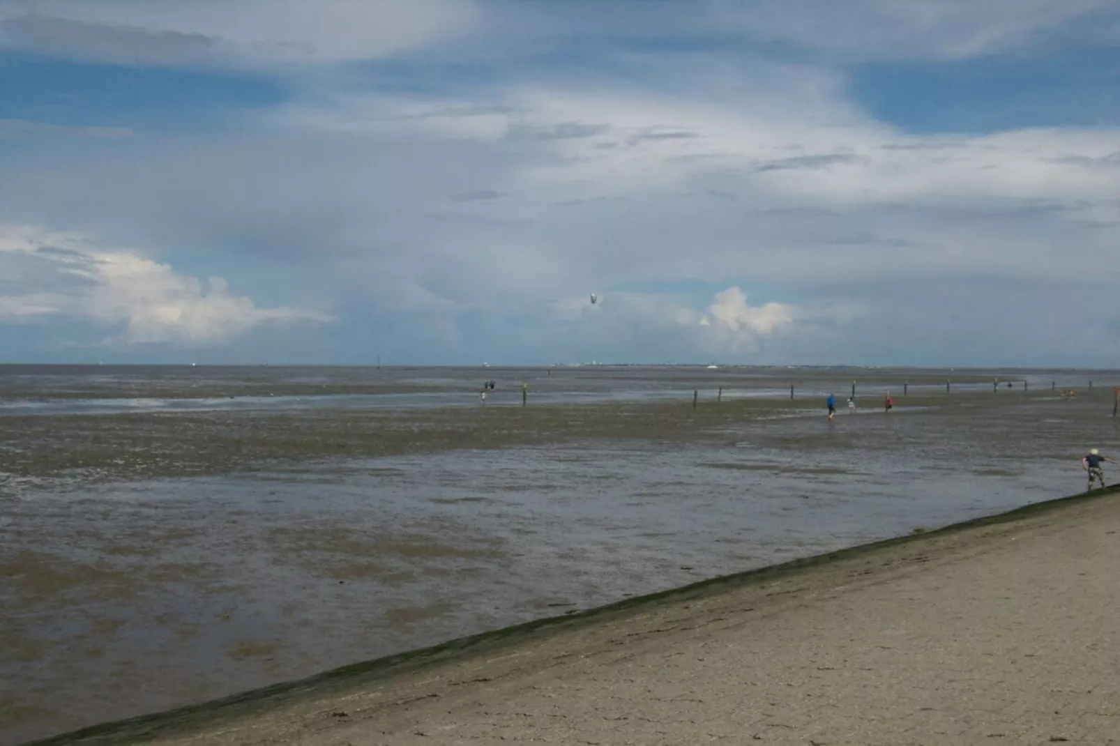 572248 - Gebieden zomer 5km