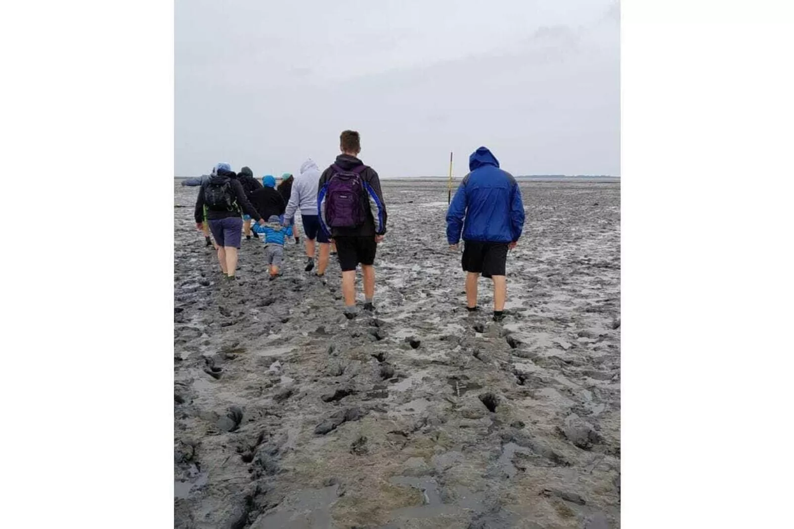 268431-Gebieden zomer 5km