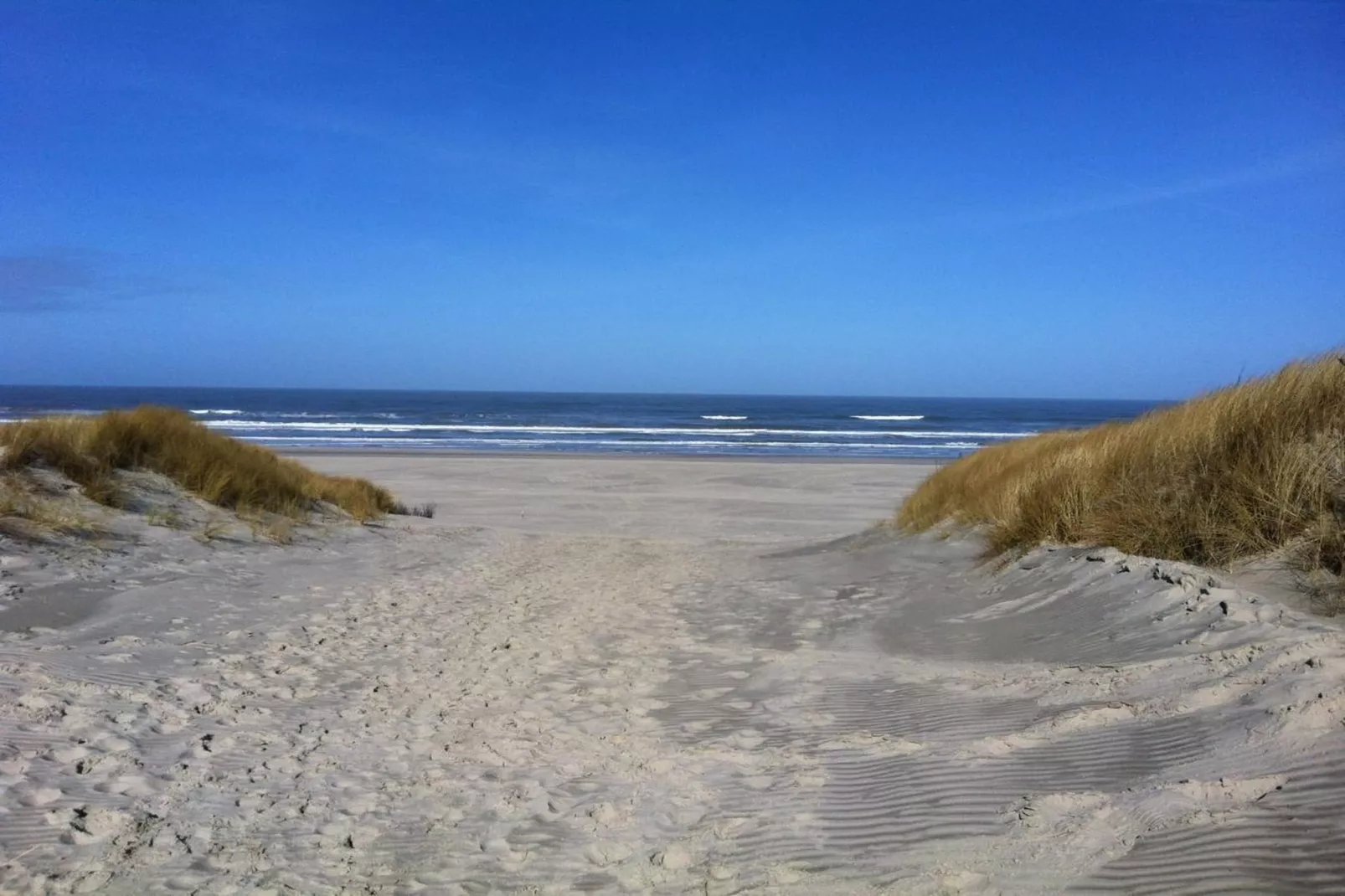 55136-Gebieden zomer 5km