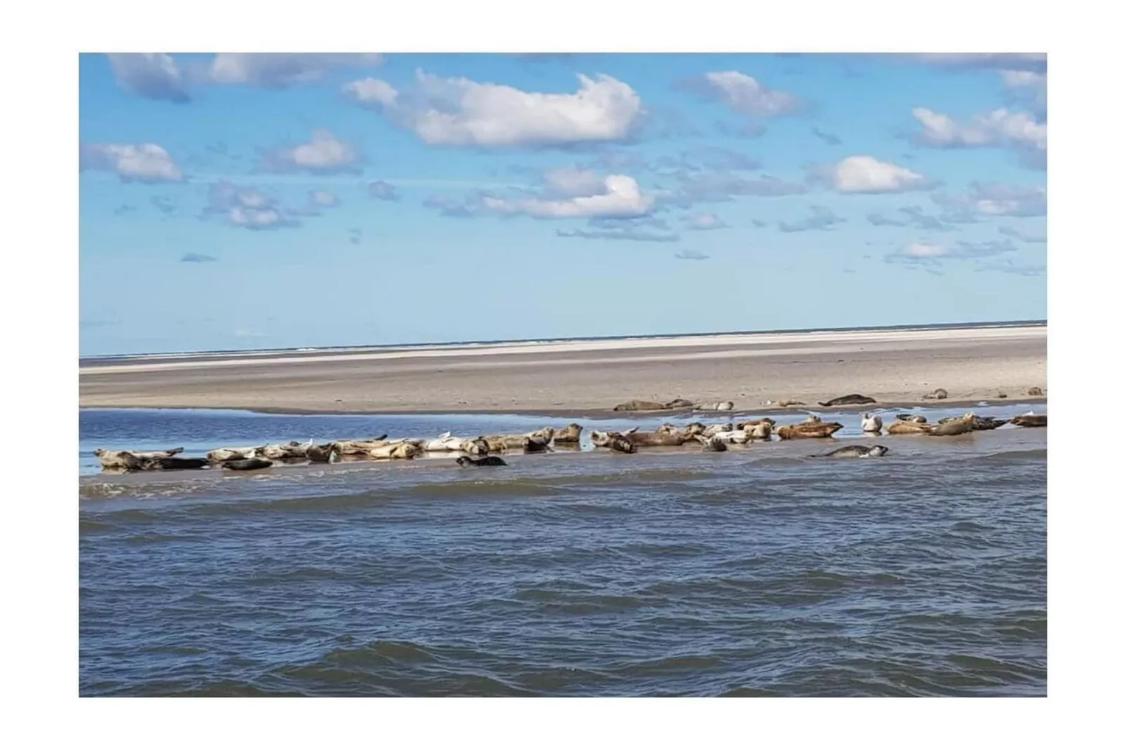 268431-Gebieden zomer 5km