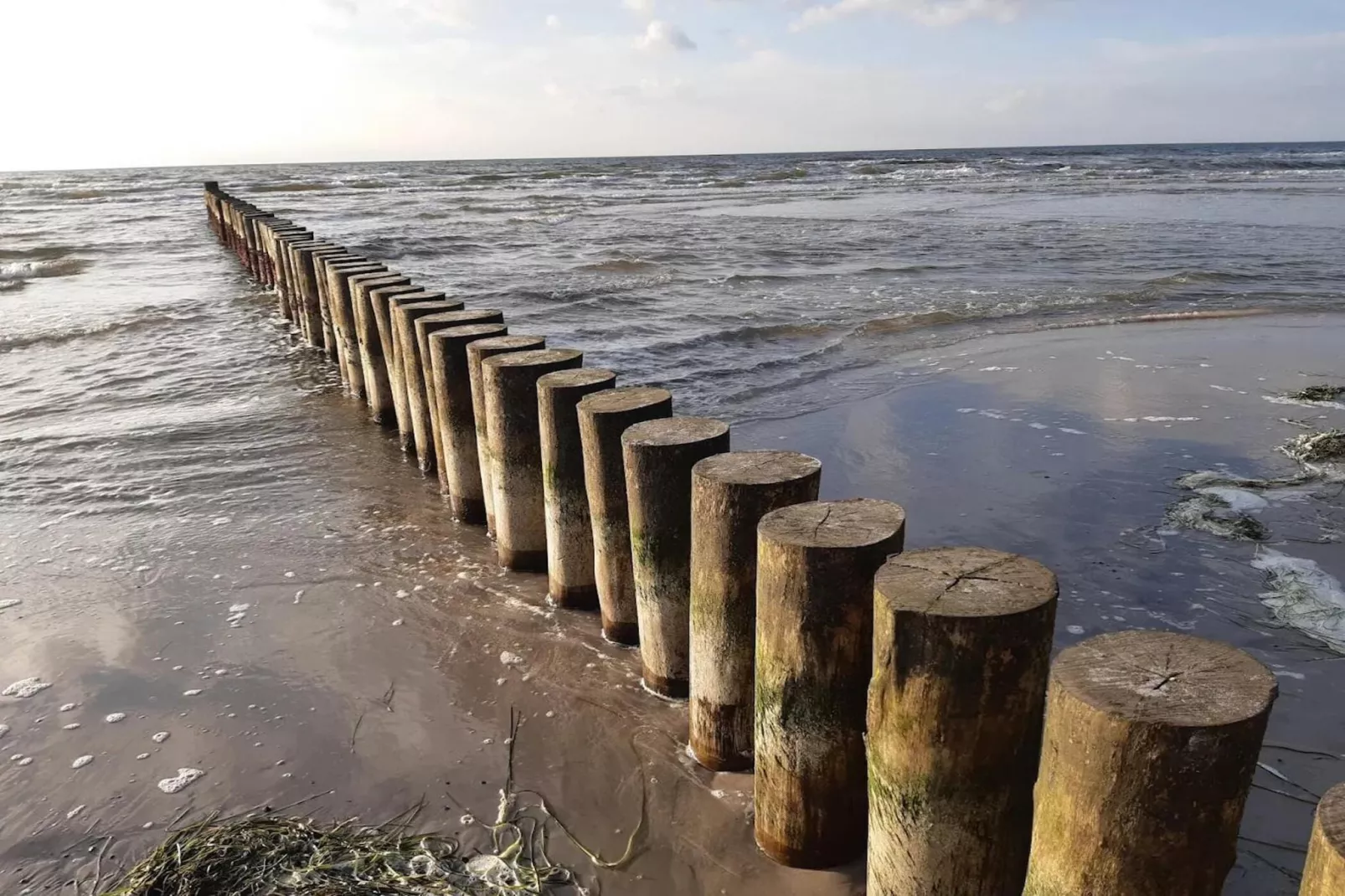 Post Hiddensee-Wohnung 18-Gebieden zomer 5km