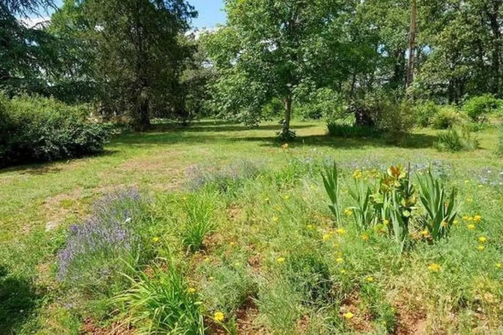 Jolie maison le Catalo - Tuinen zomer
