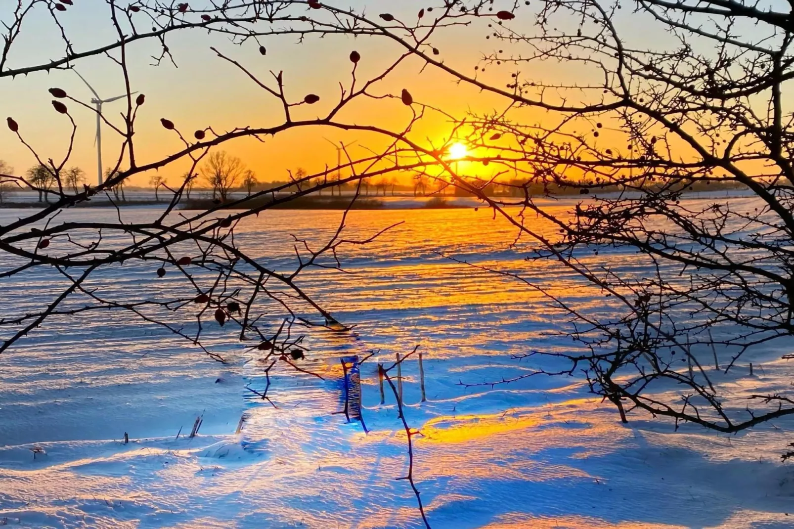 Dom przy drodze Skansen dla 8 osób Bełczna-Uitzicht