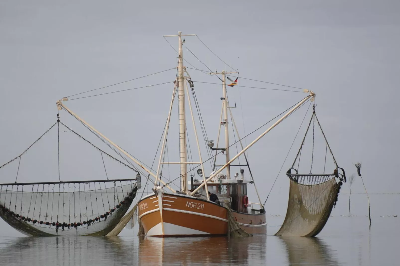 55136-Gebieden zomer 5km