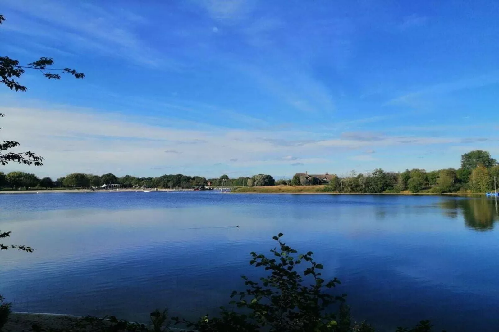 268431-Gebieden zomer 5km