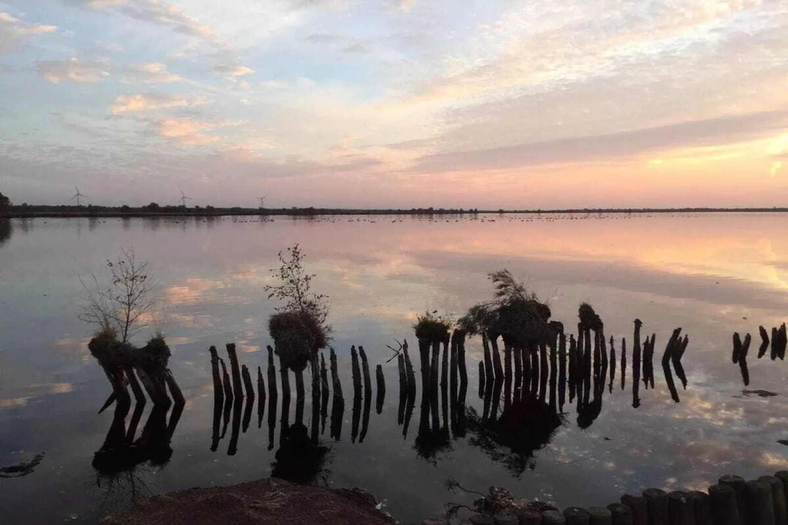 268431-Gebieden zomer 5km