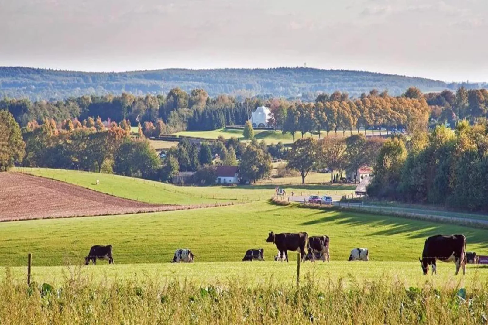 Vakantie bij Meeussen - Schuttersoord 1 - Gebieden zomer 20km