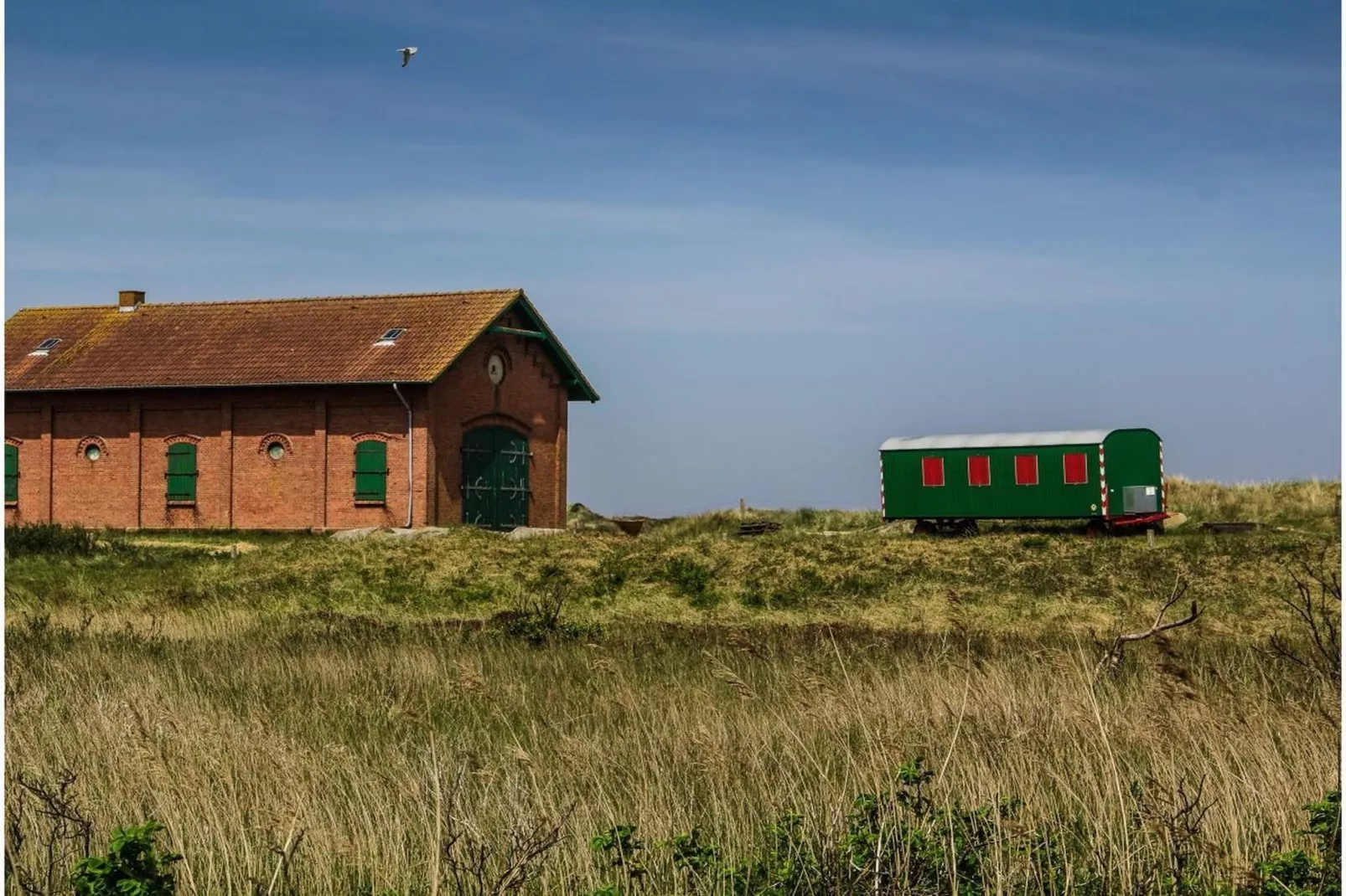 59810-Gebieden zomer 5km