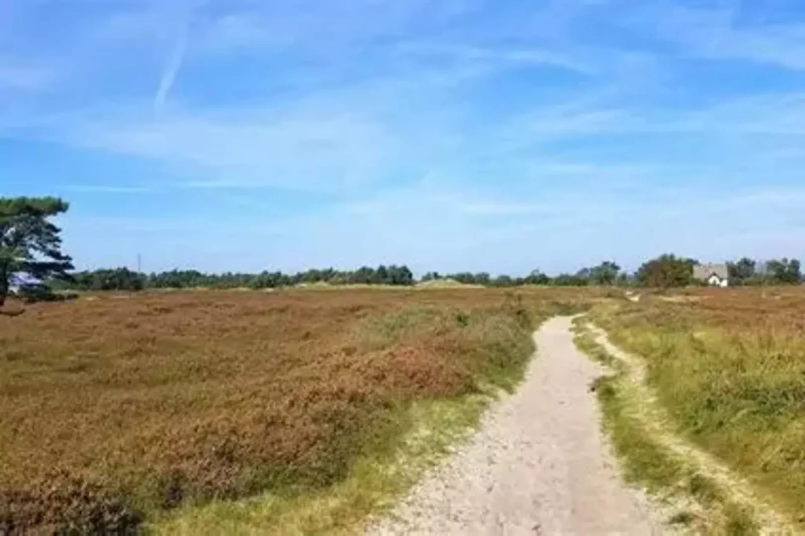 Post Hiddensee-Wohnung 18-Gebieden zomer 5km
