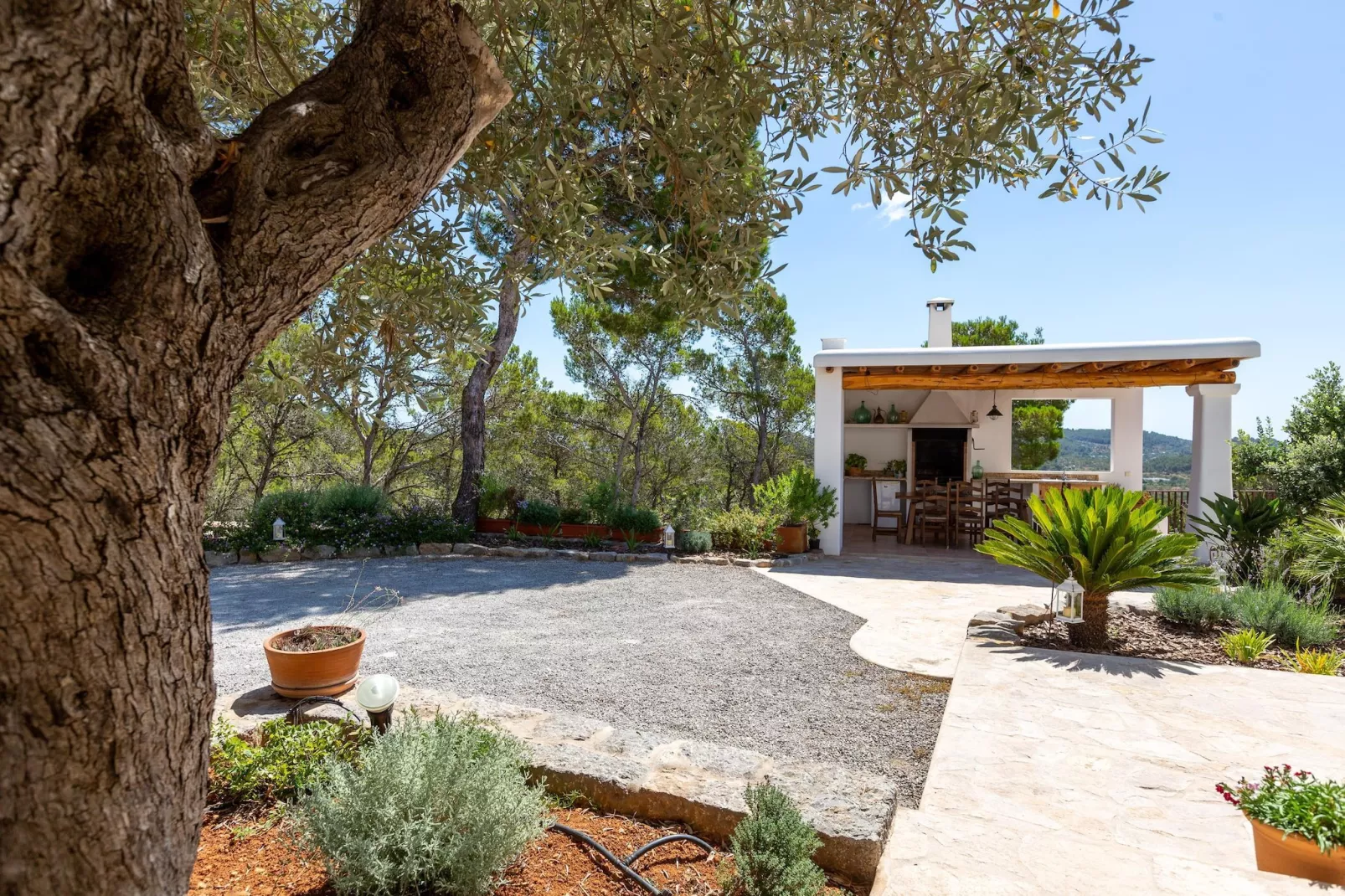 Can Sabina - Tuinen zomer