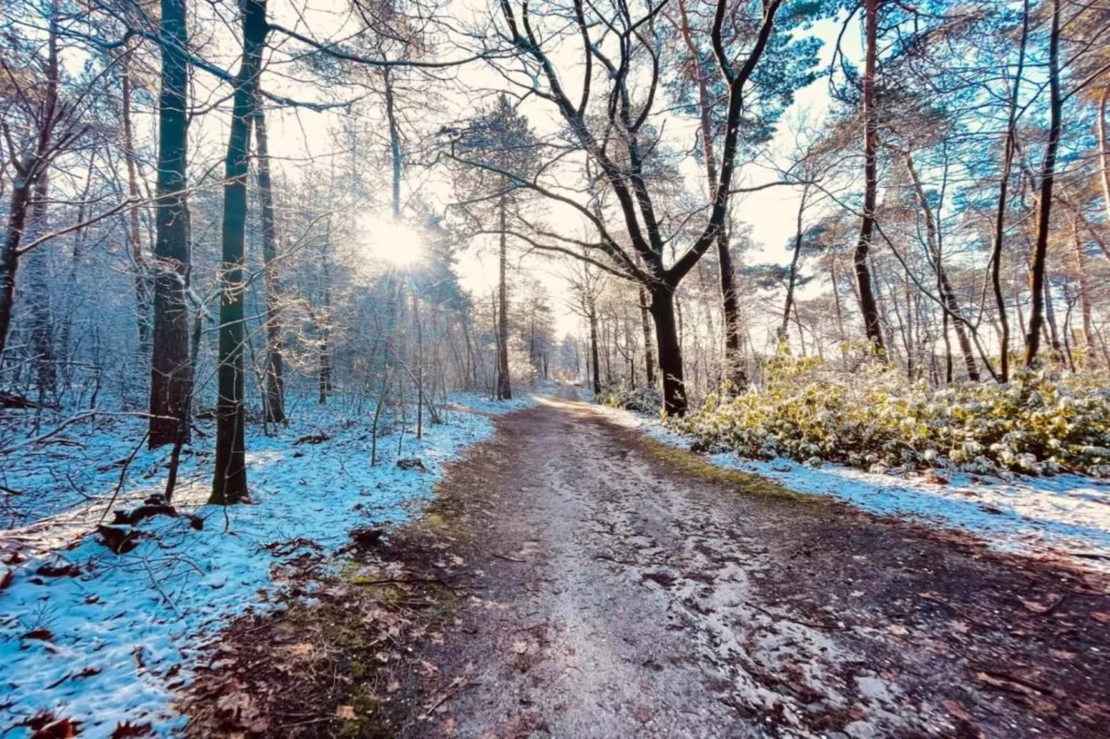 Vakantie bij Meeussen - Schuttersoord 1 - Gebieden zomer 20km