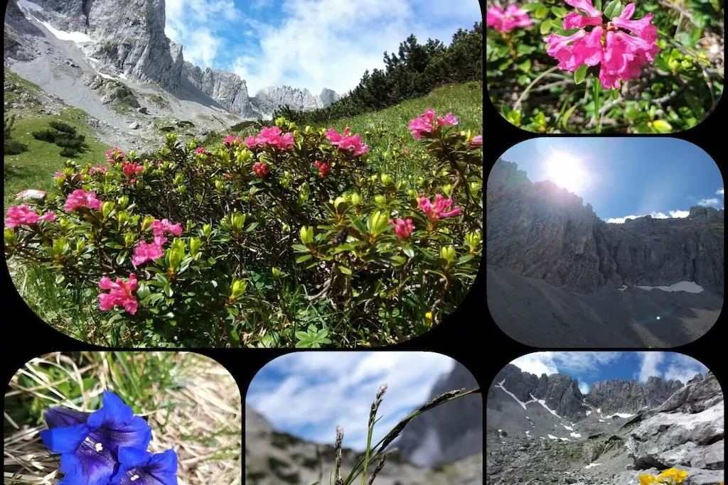 515584 - Niet-getagd