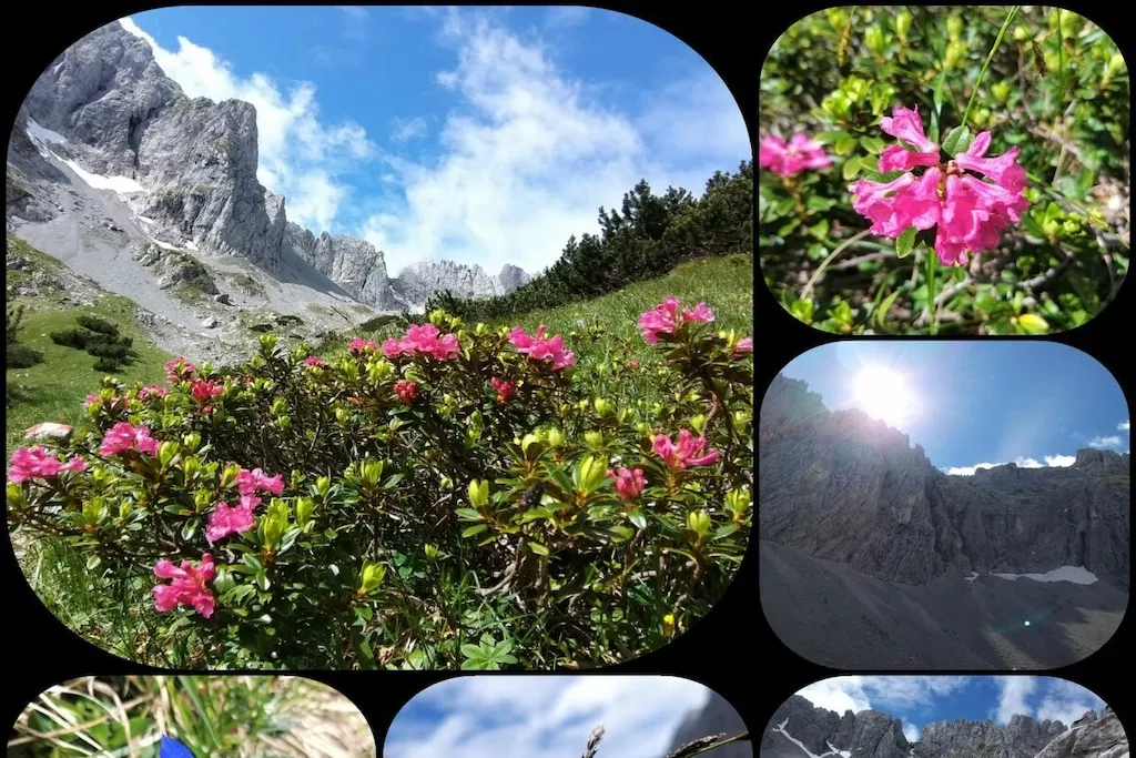 273366 - Niet-getagd