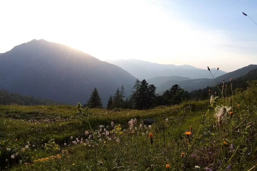 515566 - Niet-getagd