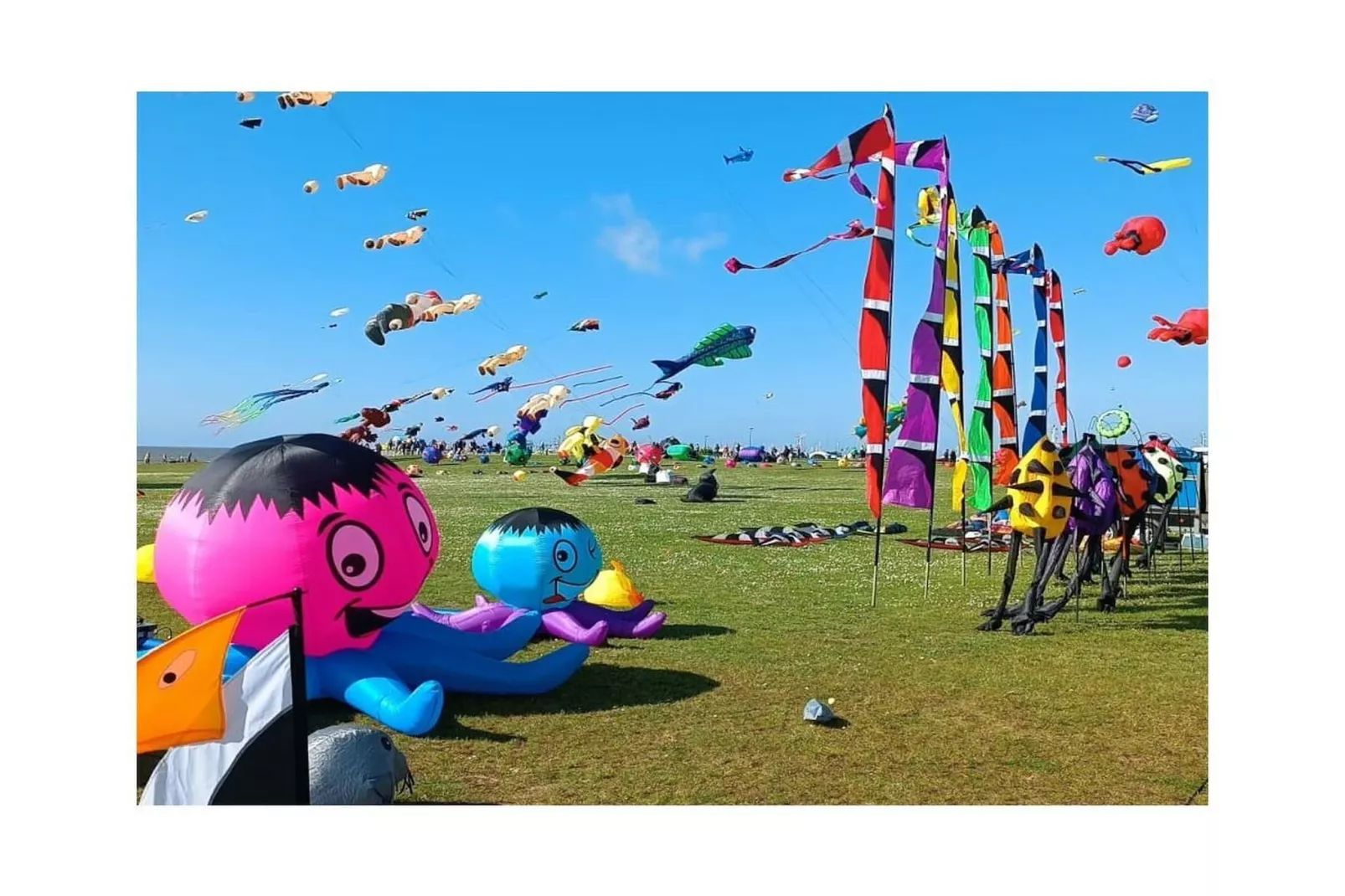 268431-Gebieden zomer 5km