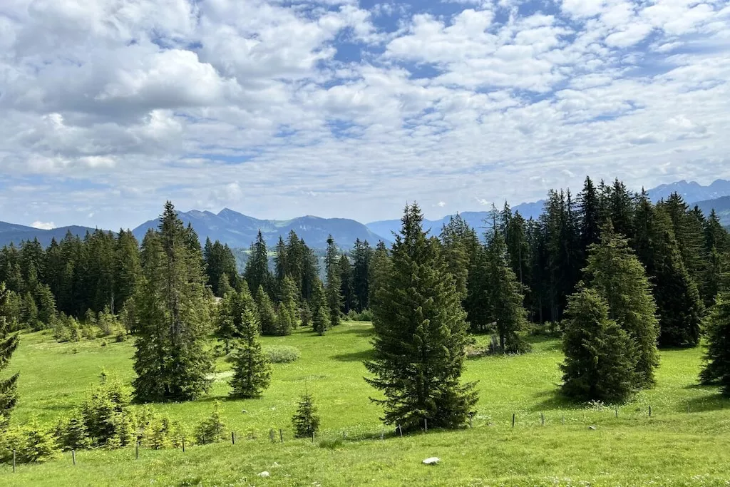 199252 - Niet-getagd