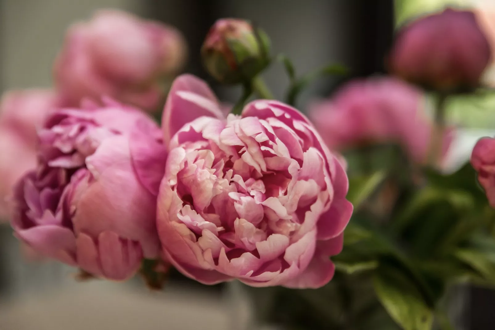 Vakantie bij Meeussen - Schuttersoord 1 - Sfeer