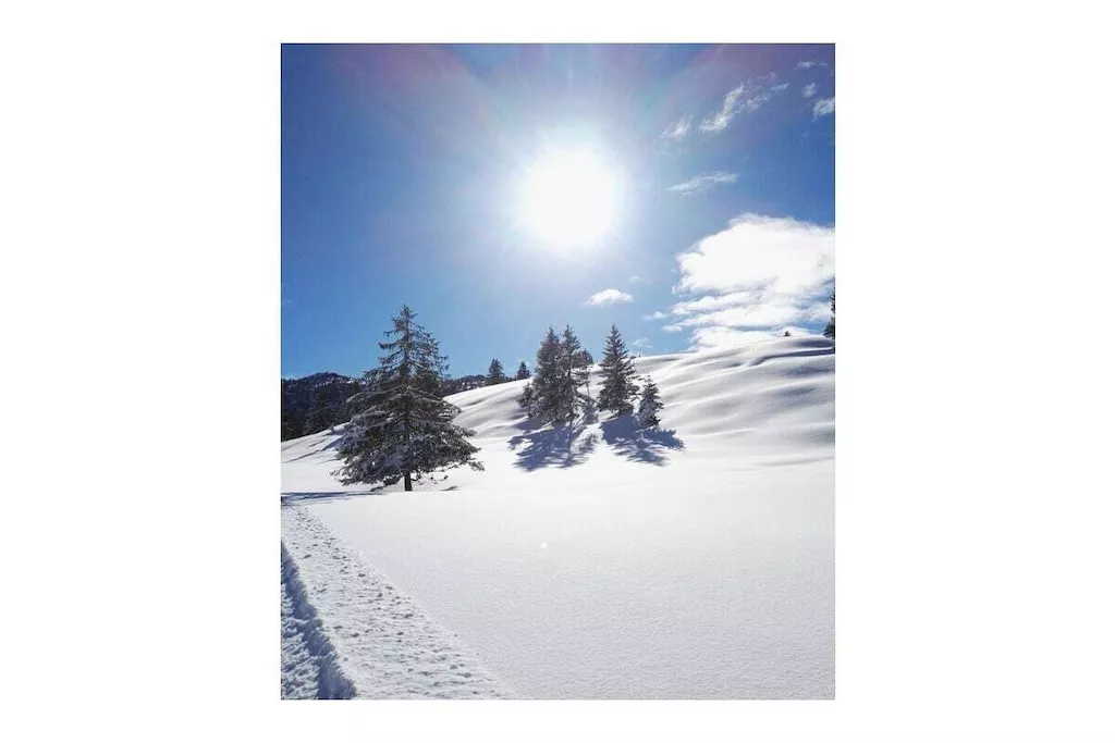 276650 - Niet-getagd