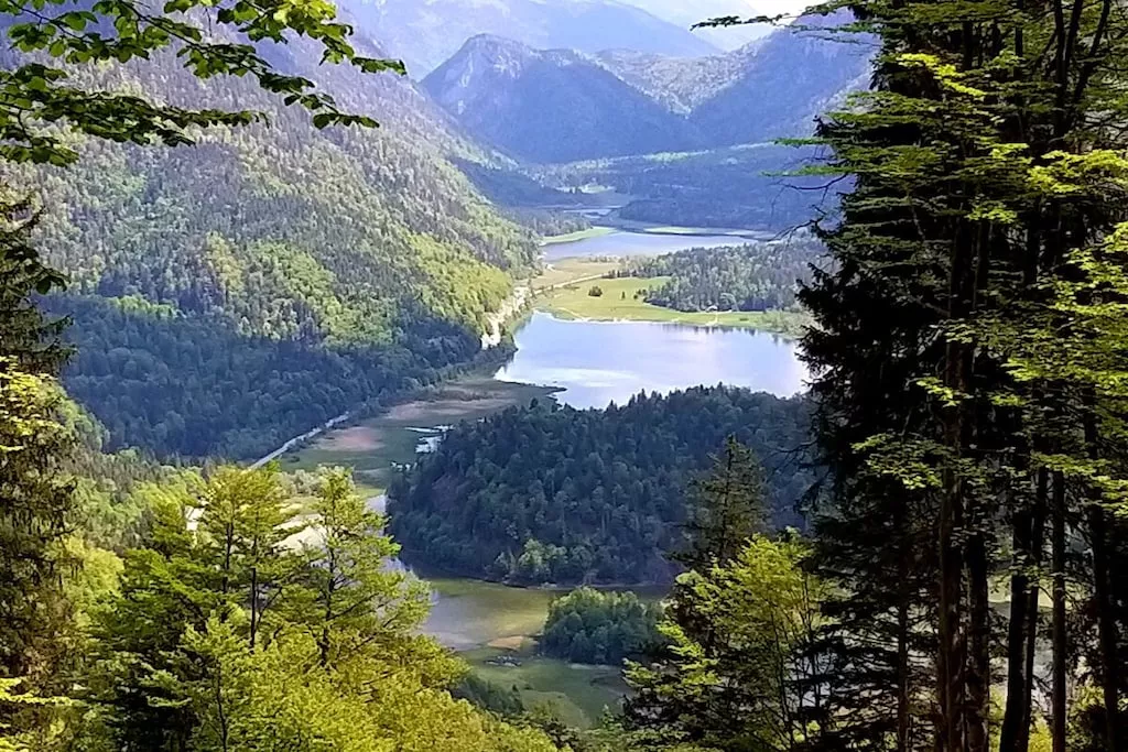 515578 - Niet-getagd