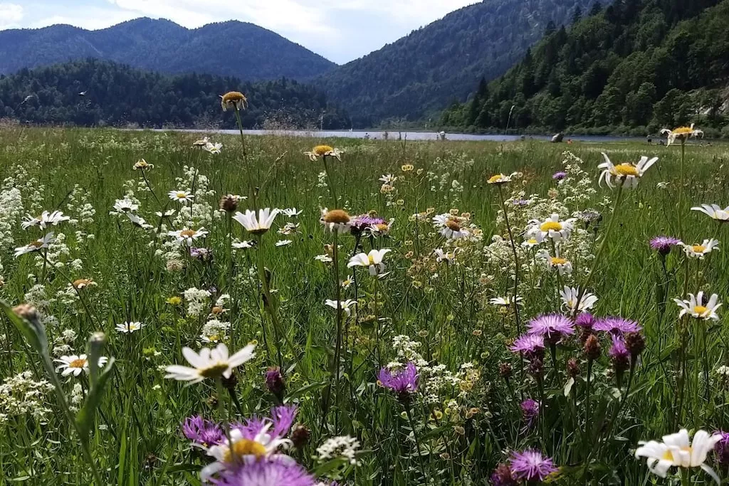 515579 - Niet-getagd