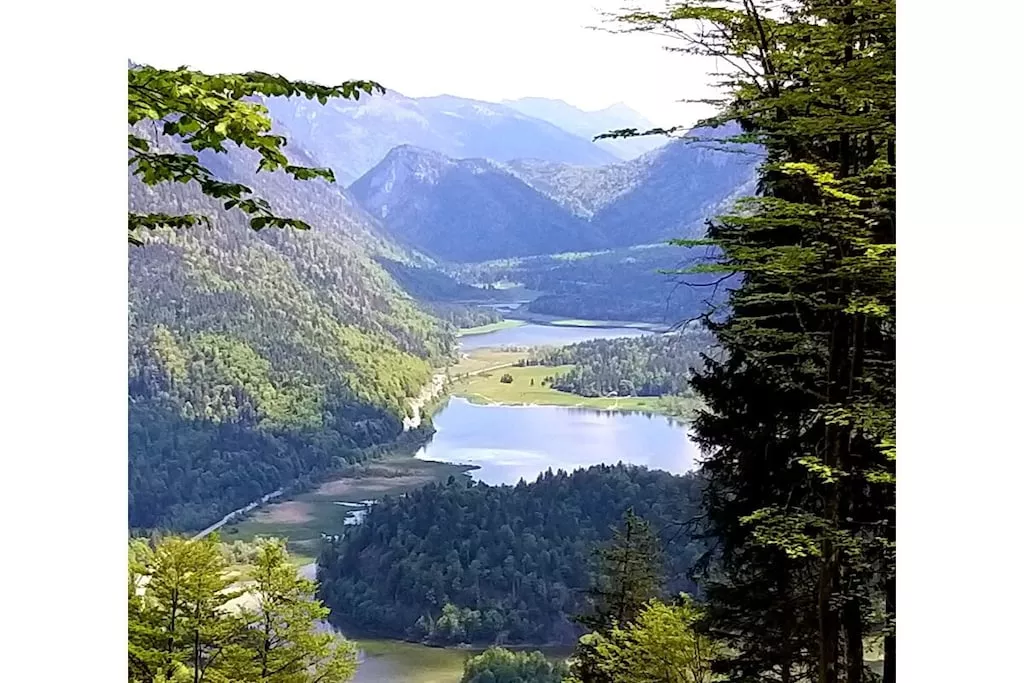 515581 - Niet-getagd