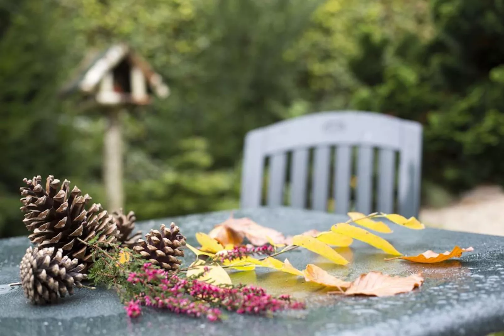 Vakantie bij Meeussen - Schuttersoord 1 - Sfeer