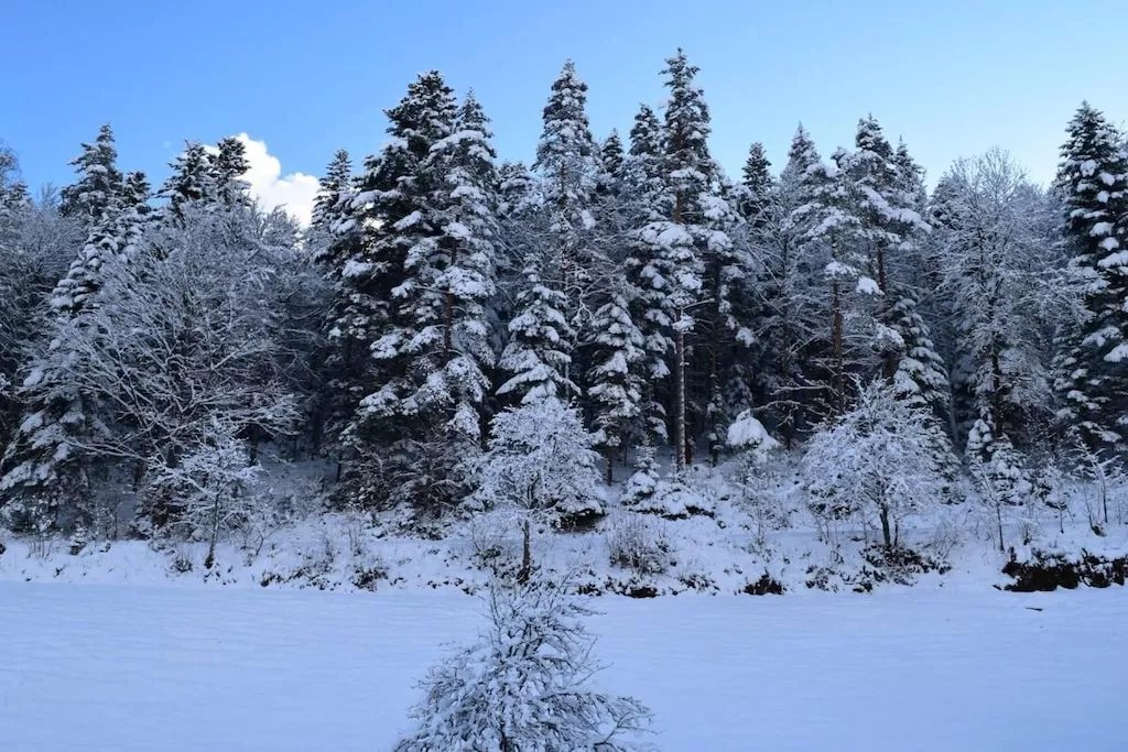 766107 - Niet-getagd