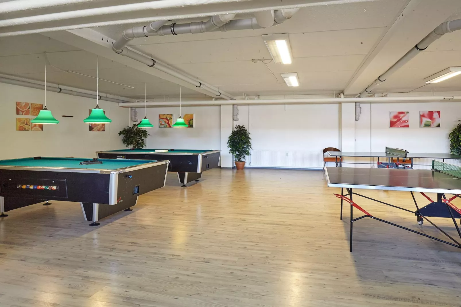 3 room,ground floor or 1.,Premium-Niet-getagd