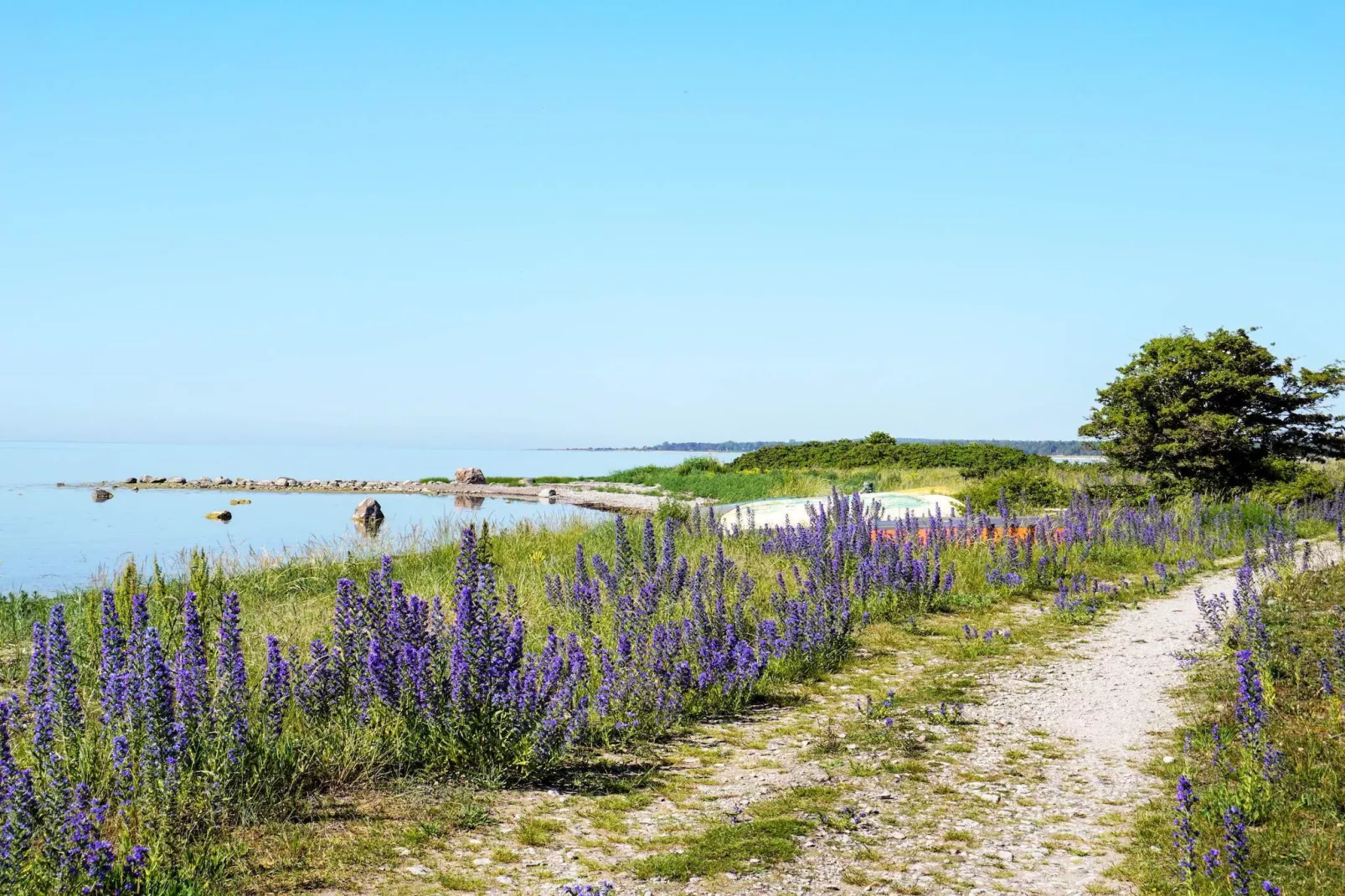 5 sterren vakantie huis in Gotlands Tofta-By Traum-Niet-getagd