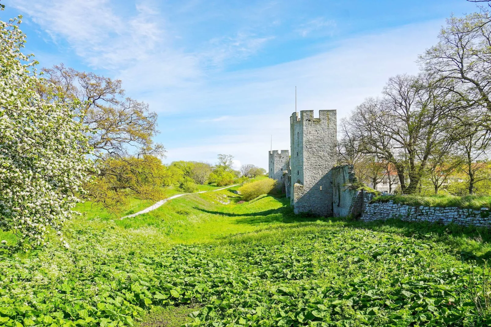 5 sterren vakantie huis in Gotlands Tofta-By Traum-Niet-getagd