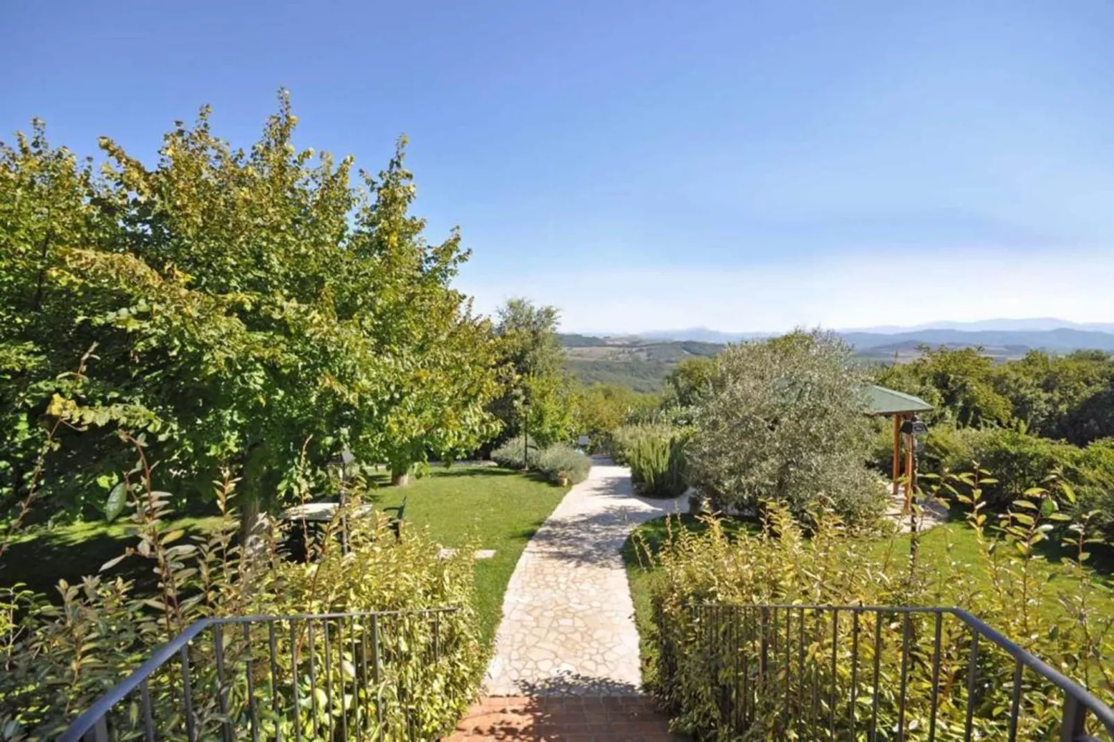 Rosa Lilla - Tuinen zomer